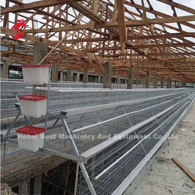 Avicultura de la jaula de batería de los pájaros de las ponedoras 256 en Zambia Sandy