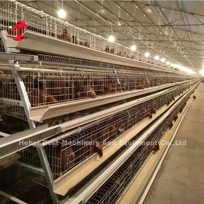 4 capacidad completamente automática del sistema 160 de la jaula de batería de la grada para la granja avícola Doris del pollo