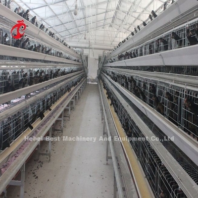 2.8mm-3.5mm Diámetro del alambre de la jaula Sistema de jaula para la cría de aves de corral para una alta eficiencia Adela