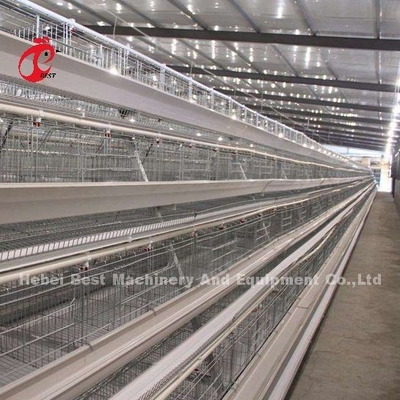 Cajera de baterías de alambre de acero inoxidable para pollo 432cm2 Área Ave Adela
