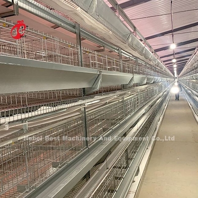 Cajera de baterías de alambre de acero inoxidable para pollo 432cm2 Área Ave Adela