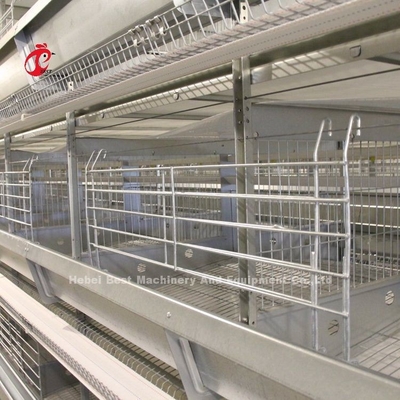 2Sistema de jaula de baterías de 2m de capa para 120-200 pollos Adela