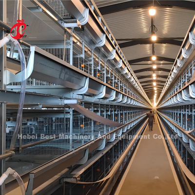 Jaulas para gallinas ponedoras en batería Huevo automático A/H Tipo Rose