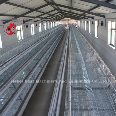 20000 Birds Sistema de jaulas de cría de pollos utilizado en la puesta de aves Mia