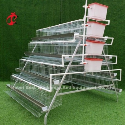 Sistema de jaula de batería de aves de corral galvanizado en caliente para granjas de capas de arena