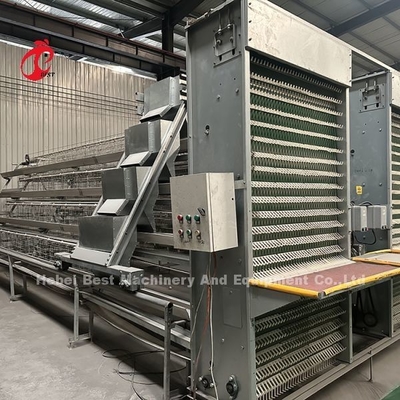 Equipo automático de jaula de gallinas tipo A o H de alimentación sistema de recolección de huevos para 35.000 aves Doris