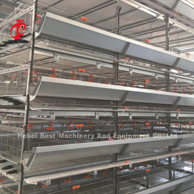 20 años de la vida útil de la capa de la avicultura del pollo de equipo automático de la jaula para 20.000 capas de Adela