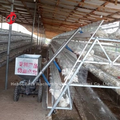 Carro de alimentación modificado para requisitos particulares del pollo automático para la granja avícola Emily