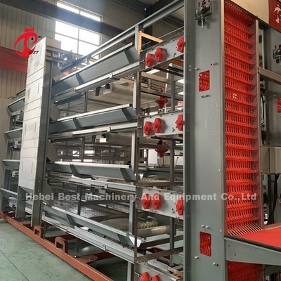 Precio de fábrica en el equipo completamente automático profesional de la jaula del pollo para el iris de la casa de pollo