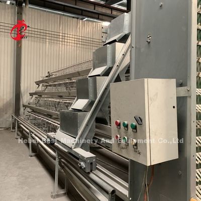 Precio de fábrica en el equipo completamente automático profesional de la jaula del pollo para el iris de la casa de pollo