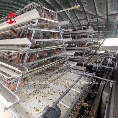 Tipo automático del raspador y de la correa del abono diseñado para la granja de pollo Sandy