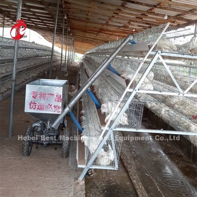 El carro de alimentación del pollo automático diseñó para la granja avícola Sandy de la jaula de batería del pollo