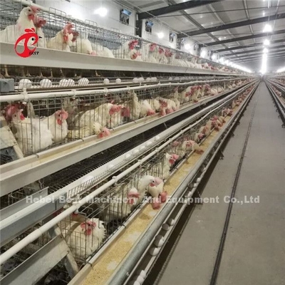 Tipo moderno equipo automático de H de la jaula del pollo de las aves de corral 20 años de Ada de la vida útil