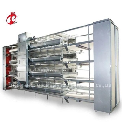 Equipo moderno de jaula de pollo automática tipo H para 25000 granjas de aves Emily