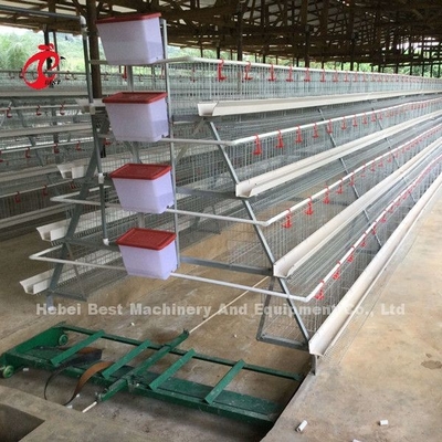 De acero de carbono automático del equipo del retiro del abono del raspador del sistema completo para la estrella de la casa de pollo