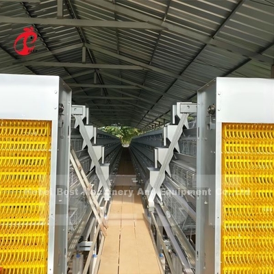 Sistema de alimentación automático de la jaula de pollo automático utilizado en las granjas de aves de corral