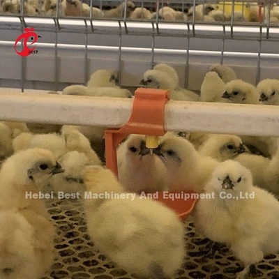 Practical 380V Chick Brooder Cage para el día de la capa vieja de cultivo de pollos en la granja de África Iris