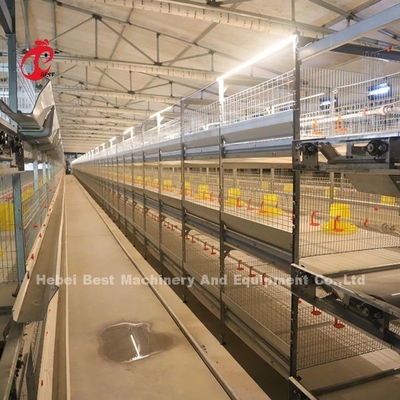 Practical 380V Chick Brooder Cage para el día de la capa vieja de cultivo de pollos en la granja de África Iris