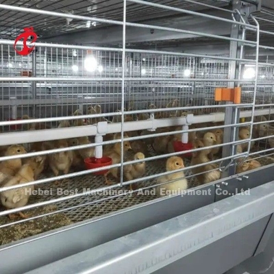 Mejor Galvanizado Automático H Tipo de Pollo Granja Broiler Jaula Sistema Adela