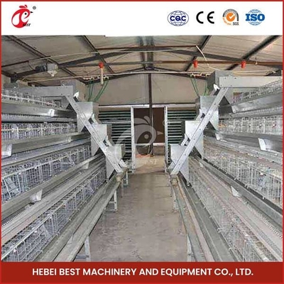 Sistema automático de la jaula del empollamiento de las aves de corral de los pájaros del arreglo para requisitos particulares 120 para los polluelos Sandy del pollo