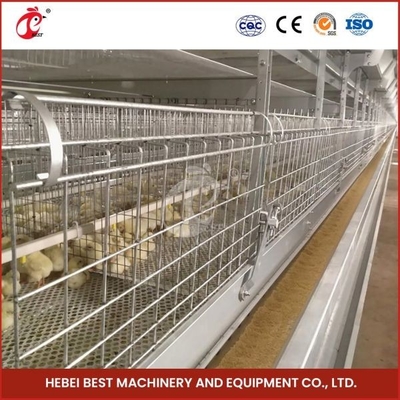 Tipo automático día viejo Chick Pullet Cage High Capacity Adela de la vida útil de la jaula moderna larga H de las aves de corral