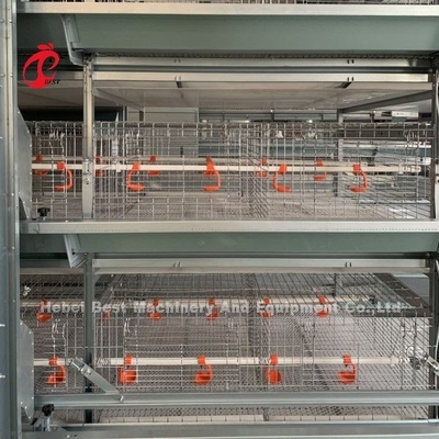 La gallina clueca galvanizada sumergida caliente del pollo 4tiers enjaula el sistema Doris Shi automatizada llena