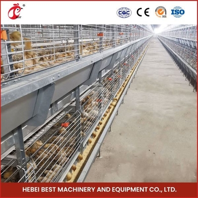 Una supervivencia más alta Rate Ada de la capa del día de los pájaros viejos de Chick Brooding Cage Equipment 208