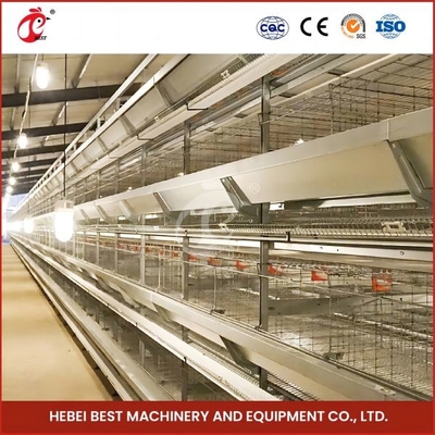 Longitud automática galvanizada caliente Mia de los pájaros el 1.2m de Chick Brooder Cage 192 del bebé del pollo