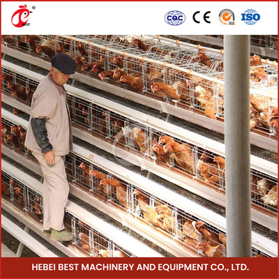Un tipo equipo automático lleno de la jaula del pollo para la granja avícola Sandy de 20.000 capacidades
