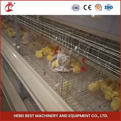 Galvanizado Pollo Bebé Jaulas de reproducción para pollos Tiene capacidad para hasta 120 pollos