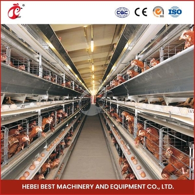 Tipo 30000 jaula automática de H del pollo de la capa del huevo de los pájaros con el Ada de la banda transportadora del abono