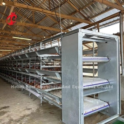 Jaula de batería automática del pollo de los pájaros de la capa 160 para la granja avícola Emily