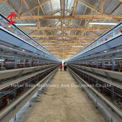 Jaula de batería automática del pollo de los pájaros de la capa 160 para la granja avícola Emily