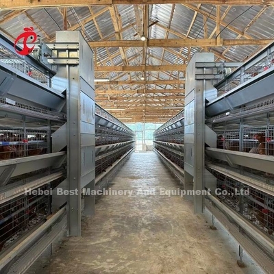 Jaula de capas de aves de corral de 110 kg con bebedoras automáticas de pezones para gallineras Doris