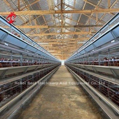 120 jaulas de batería de las aves de corral de la capacidad de los pájaros granja automática Doris de la capa de A o de H