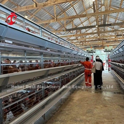 Sistema de jaula de capas de aves de corral de 3/4/5/6/7/8 niveles con alimentador automático Adela