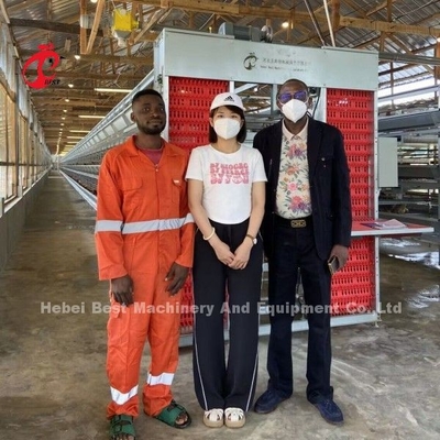 Sistema eléctrico Q235 de la batería de las aves de corral de la capa de la jaula de pollo de acero de la jaula Doris
