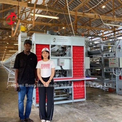Sistema de jaulas galvanizadas importadas para la cría de aves de corral para la capa H tipo Doris