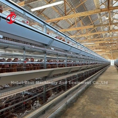 120 jaulas de batería de las aves de corral de la capacidad de los pájaros granja automática Doris de la capa de A o de H