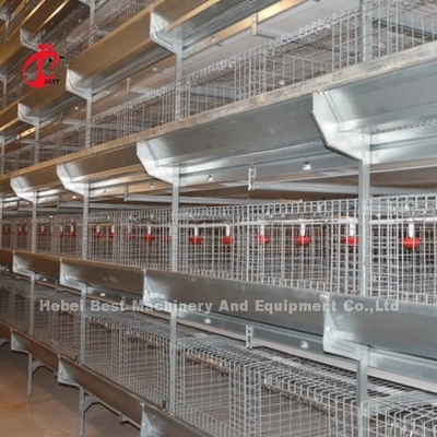 450cm2 Tipo H Sistema automático de jaula de batería de pollo con alimentador Adela