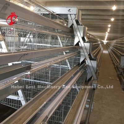 Sistema de jaula de baterías de 3/4/5 niveles para el iris de las granjas avícolas de pollo de capa automatizada