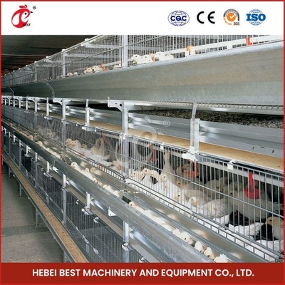 Caja de transporte de pollos de engorde galvanizado en caliente Color plateado Durable fiable Mia
