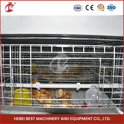 Las aves de corral de la batería de bebé Chick Brooder Cage para la venta Ada