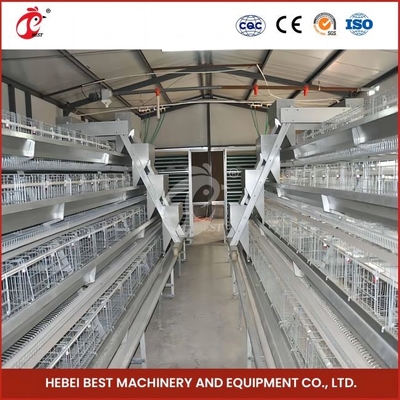 96 Aves Tipo H Jaula automática de pollo / Jaula de pollo tipo broiler con puerta corredera Rosa