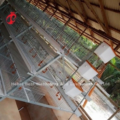 3 o 4 niveles de cría de pollos Jaula H cinturón Sistema de limpieza manual 2x2x1.6 metros Doris