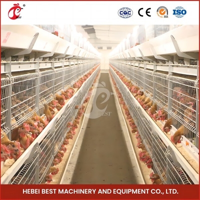 Ahorro de espacio Sistema automático de jaula para pollos de engorde para 120-200 pollos