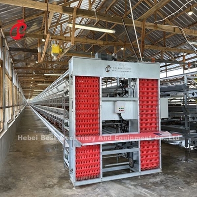 Producción de huevos y pollos Alimentación de aves de corral Cajera de capas Pulverización electrostática Ada
