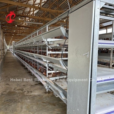 Producción de huevos y pollos Alimentación de aves de corral Cajera de capas Pulverización electrostática Ada
