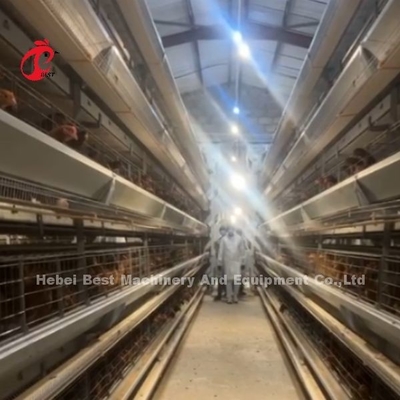 Batería de pollo confiable Cajera de capas de aves de corral 7 niveles Iris