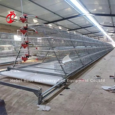 Tipo H Automático Tipo H Broiler Cajera de pollo Instalación de video Inspección saliente Provisto de rosa